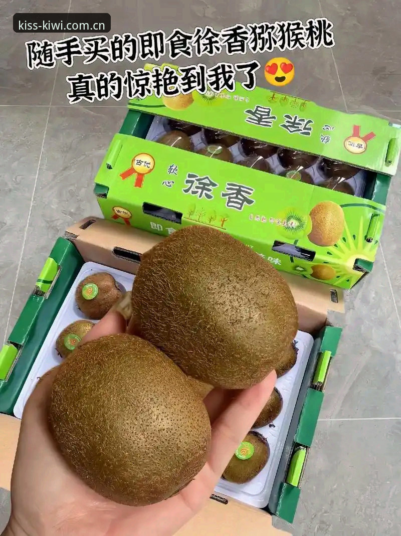 奇异果体育平台更新日志安全吗 奇异果体育平台更新日志安全吗?从一次安装踩坑说起